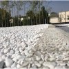 White Pebble stone 